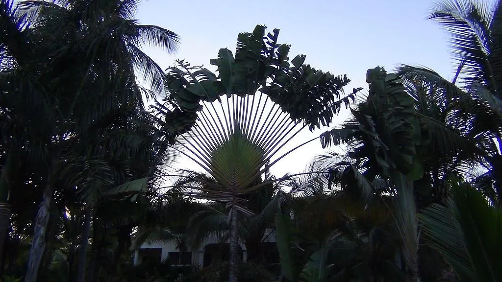 **** Hotel Suites At Melia Caribe Beach Resort And Spa Punta Cana Dominican Republic